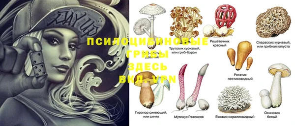 дживик Алексин