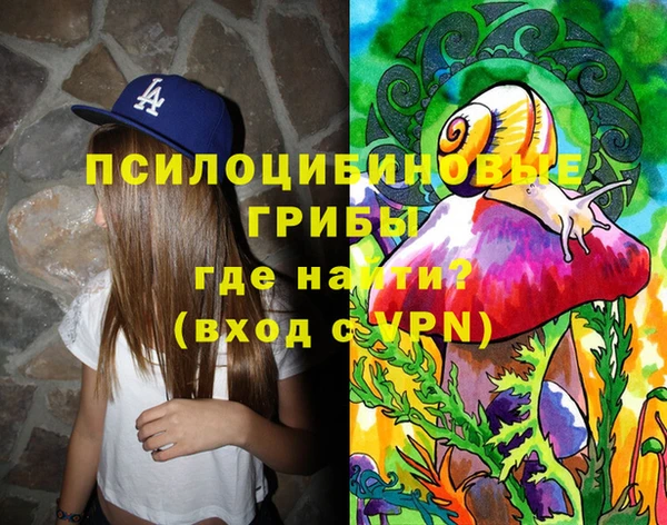 дживик Алексин