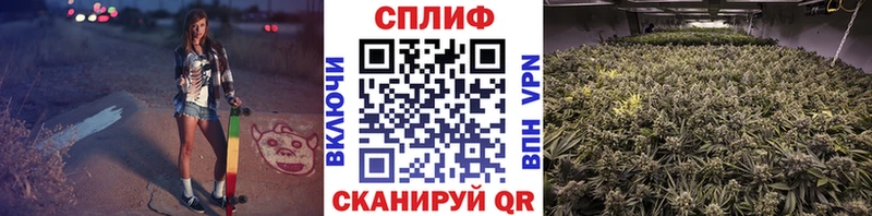 Бошки марихуана MAZAR  Майский 